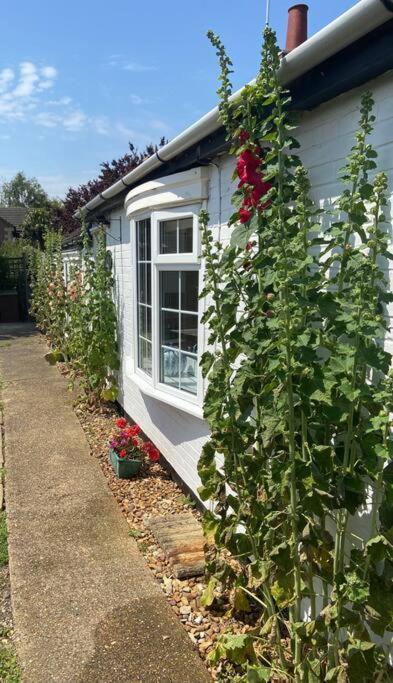 Field Cottage Whittlesey Esterno foto
